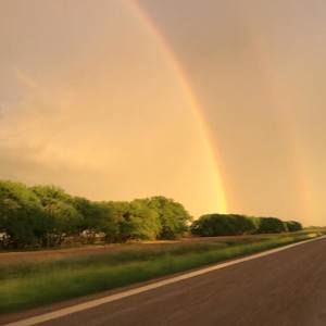 Meet your Posher, Tara